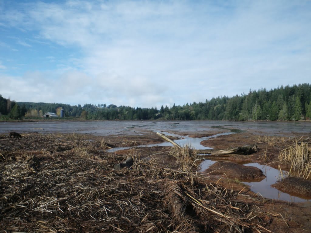 Matson Creek Estuary in Coos Bay, Oregon