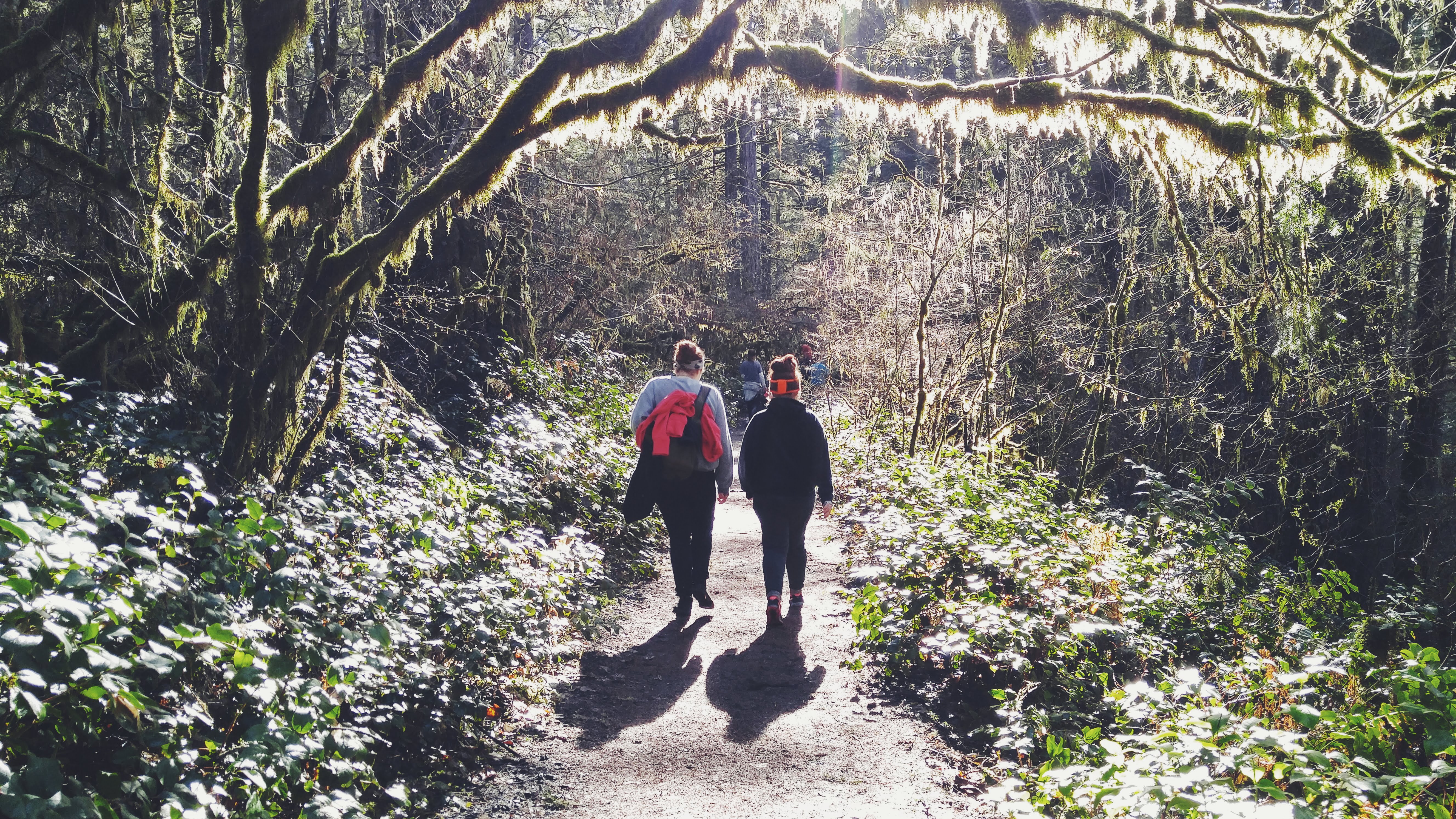 silver falls