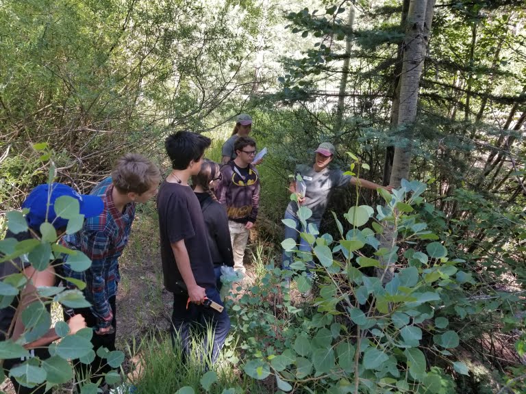 Forest Bound Launches! - Institute for Applied Ecology