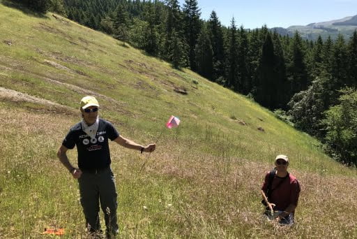 Monitoring Horkelia in Twin Prairie