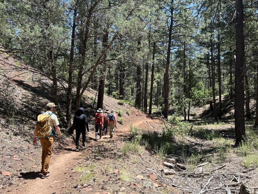 Instructors and students on a botany hike near Cienega Picnic Area
