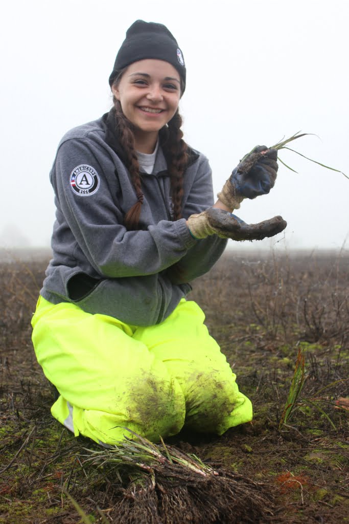Karissa Red Bear, AmeriCorps team member, planting iris at Herbert Farm.
