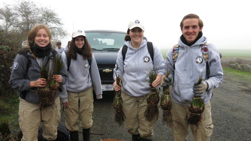 AmeriCorps NCCC Team Gold 5 members holding bundles of Oregon iris (Iris tenax).  Bulbs and bareroot plants of several other native species were also planted.