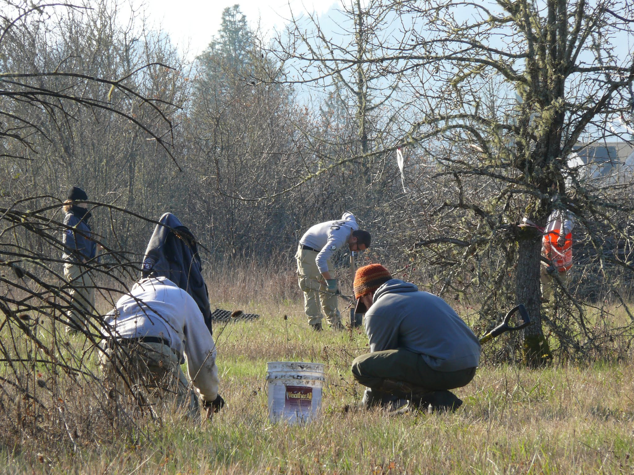 Habitat Restoration Program Institute for Applied Ecology