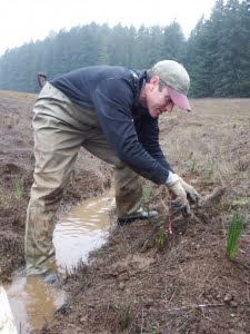 Andy Neill, IAE's restoration technician did a fine job with the day-to-day supervision of the AmeriCorps team