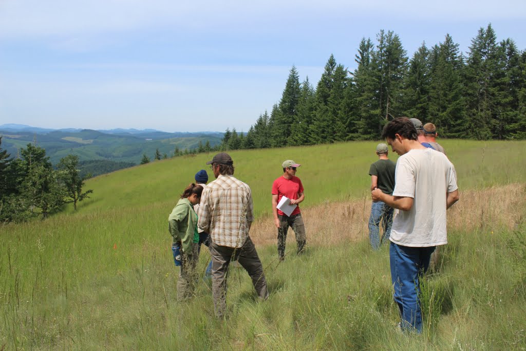 Andy Neill describing restoration at Beazell