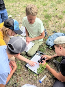 Forest Bound students conducting a bumblebee survey through the New Mexico Bumblebee Atlas community science project