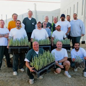 Sagebrush in Prisons Project