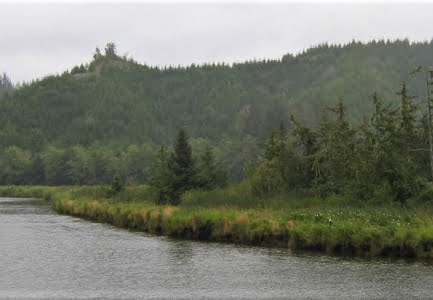 Siuslaw Estuary - by Laura Brophy