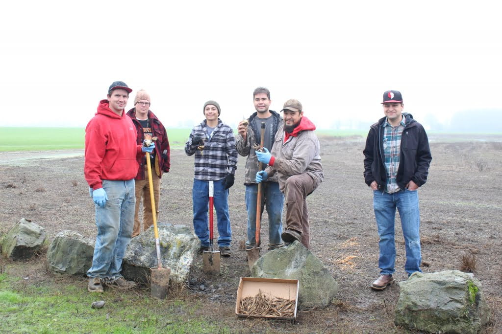 Confederated Tribes of Grand Ronde staff with camas and yampah