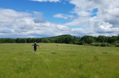 pollinator crew in field