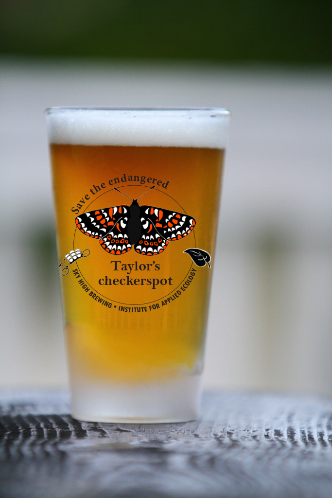 final-beer-glasswith-tcb-logo-cropped