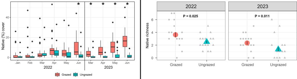 Left: Percent cover of natives (summing all 10 species) by sampling month. * indicates significant grazing effect (P < 0.05). Right: Native richness. Grey points are individual plots while larger colored symbols are means ± 1 standard error.