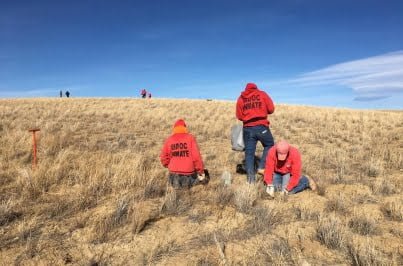 Inmates planting sagebrush