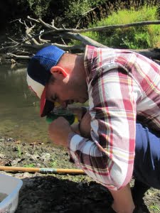 Teacher, Cody Hansen examines macro invertebrates in the Marys River