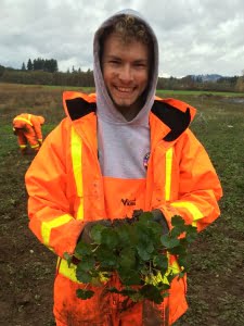 Jacob Pearson harvesting native plants at a nursery