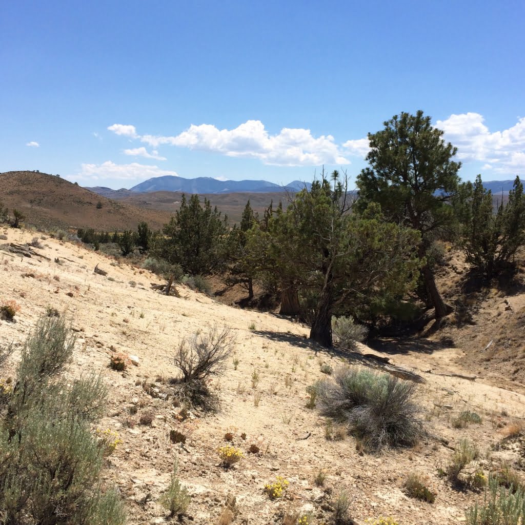 A typical LUCU site at Denny Flats near Unity, Oregon.