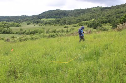 Lisa doing vegetation survey - in landscape