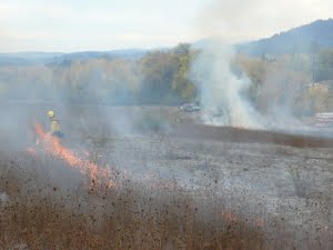 Lupine Meadows upland prairie in the process of being burned to improve habitat for butterflies.