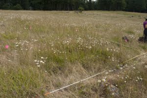 Plot Photo finished