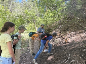 Students in the public session study a saprophytic plant in the field