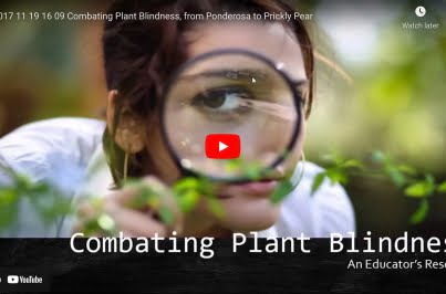 Combating Plant Blindness, from Ponderosa to Prickly Pear