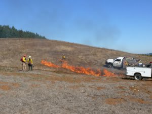 Prescribed fire conducted by Oregon Department of Forestry at Witham-Gellatly in October 2014