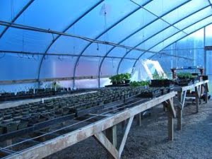 Oak Creek Youth Correctional Facility greenhouse.