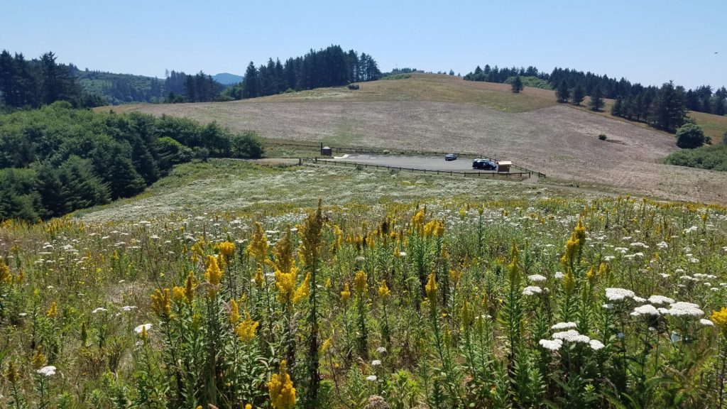 Restored Coastal Prairie- Nestcca Oregon