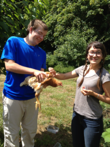 nick with chicken