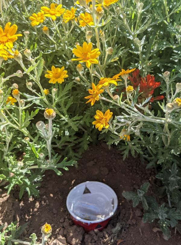 Managing pests on the farm - Institute for Applied Ecology