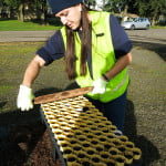 watering and care-3